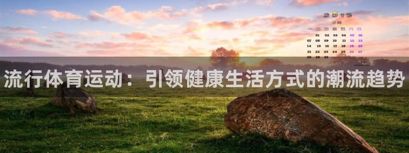 凯发官方正版app娱乐是那个系列的台子:流行体育运动:引领健